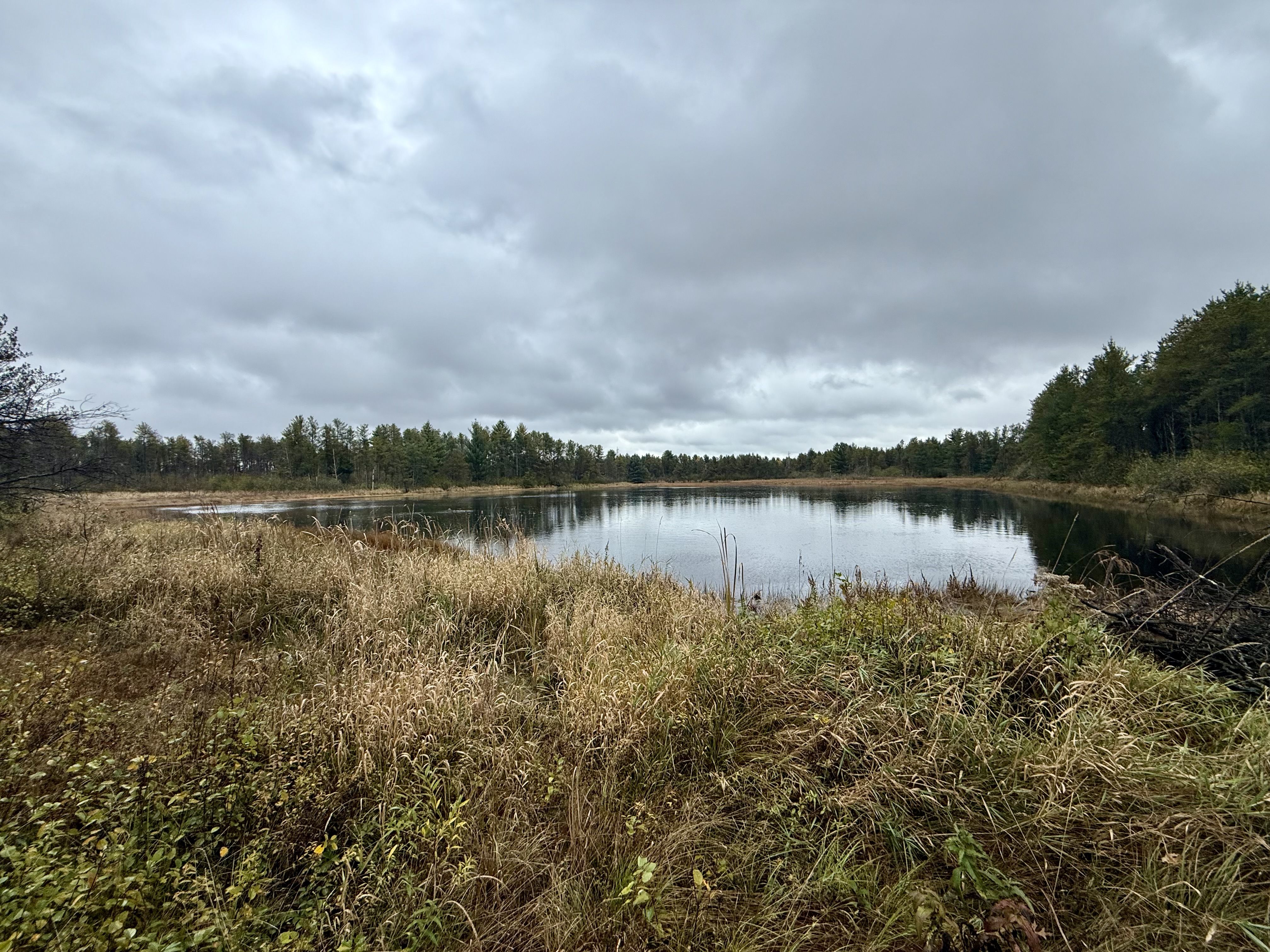 Listing Photo: Photo Oct 21 2025, 1 35 57 PM